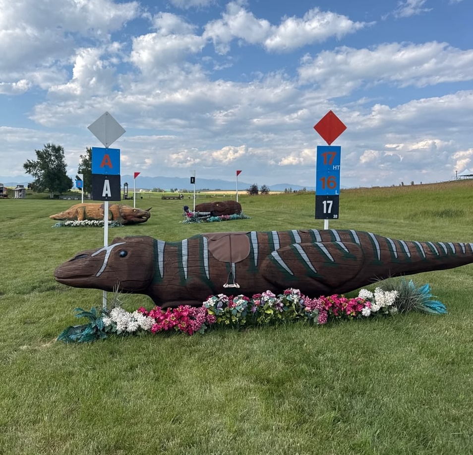 Rebecca Farm Dino Rides